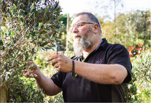 The 'Root To Success', Knowing Where Your Hedging, Shrubs, & Perennials Are Grown.