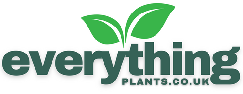 LOGO OF EVERYTHING PLANTS
