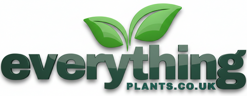 Everything Plants