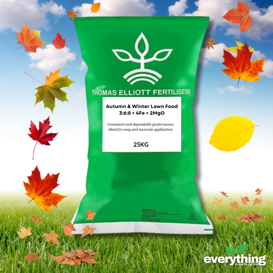 Autumn & Winter Lawn Food 3:6:8 + 4Fe + 2MgO