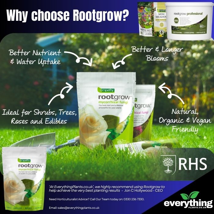 Rootgrow (Mycorrhizal Funghi)