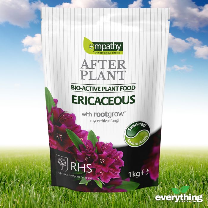 After Plant Biofertiliser for Ericaceous Plants