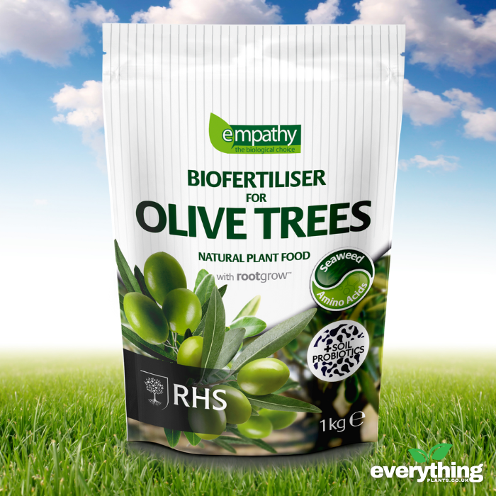 After Plant Biofertiliser for Olives