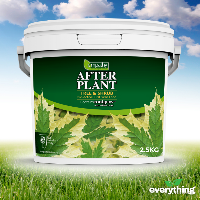 After Plant Biofertiliser for Tree and Shrub