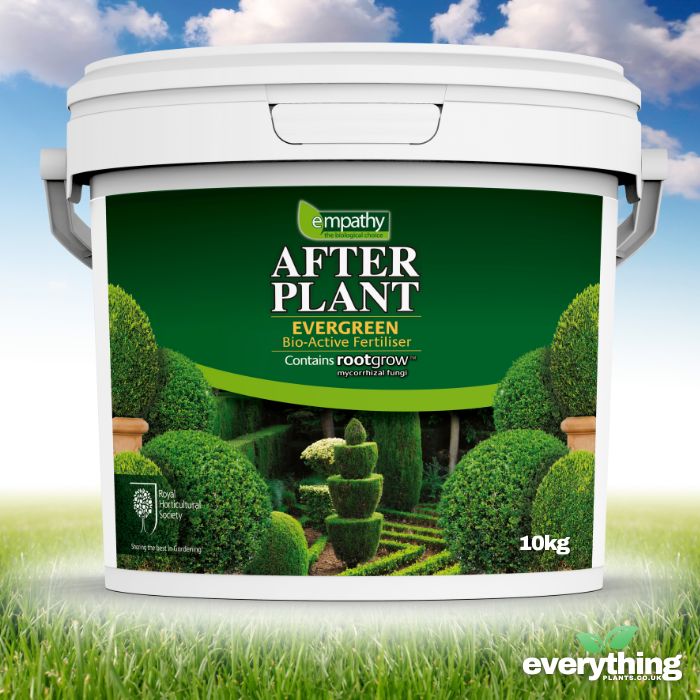 After Plant Biofertiliser for Evergreen Plants