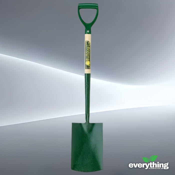 BDS Durable Digging Spade 28" Ash Shaft with Plastic D Handle by Bulldog