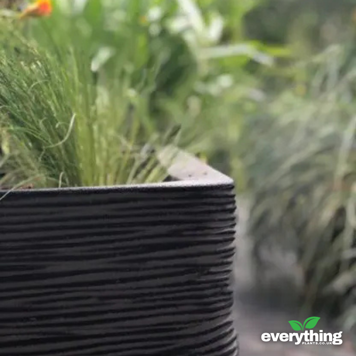 Capi Nature Ribbed Cube Planter