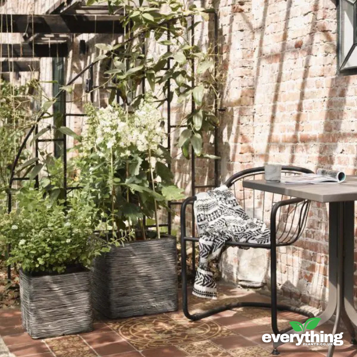 Capi Nature Ribbed Cube Planter