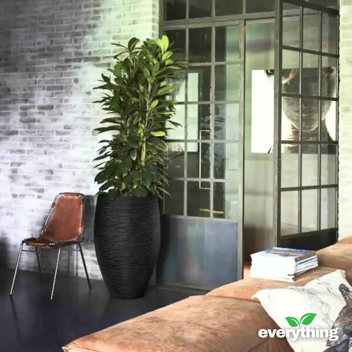 Capi Nature Ribbed Vase Planter