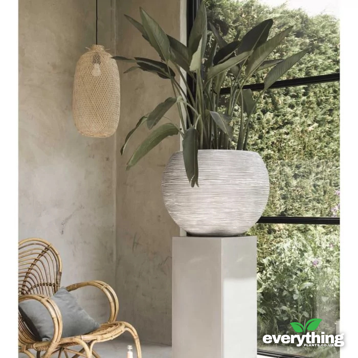 Capi Nature Ribbed Vase Ball Planter