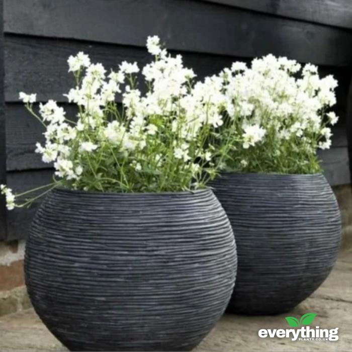 Capi Nature Ribbed Vase Ball Planter