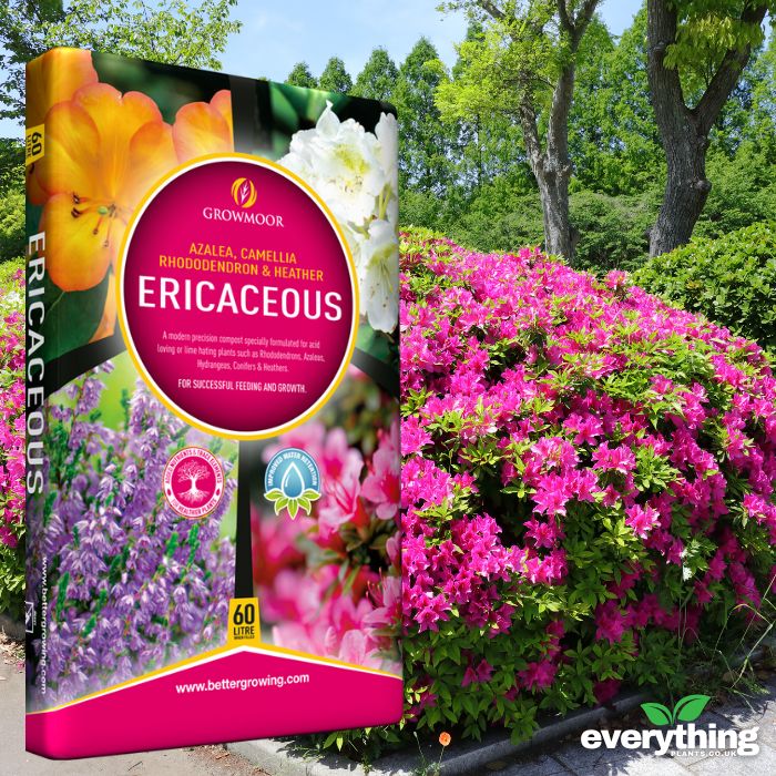 Ericaceous Compost