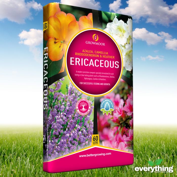 ericaceous potting mix Ericaceous Compost