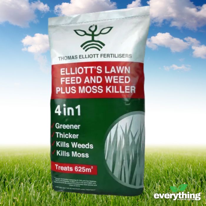 Lawn Feed, Weed and Moss Killer