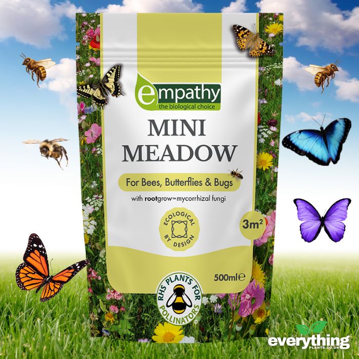 Mini Meadow Wild Flower Seed