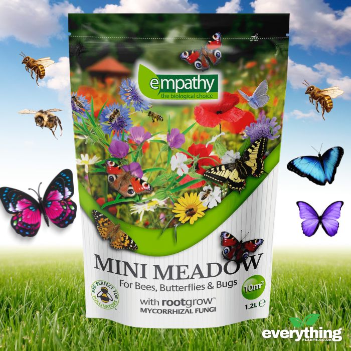 Mini Meadow Wild Flower Seed