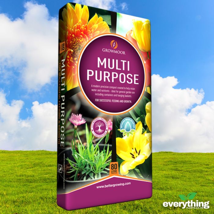 Multi Purpose Compost