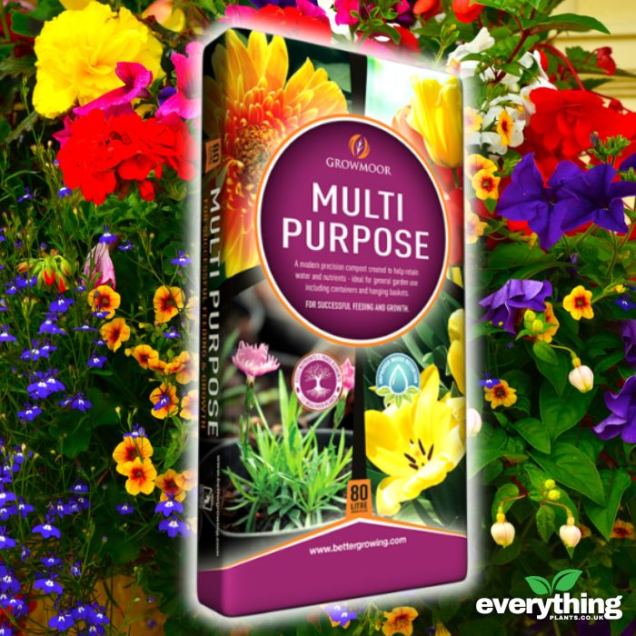 Multi Purpose Compost