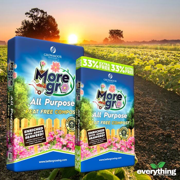Peat Free All Purpose Compost