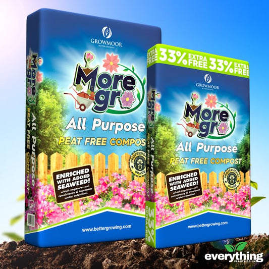 Peat Free All Purpose Compost
