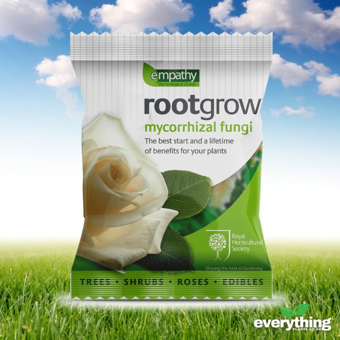 Rootgrow (Mycorrhizal Funghi)