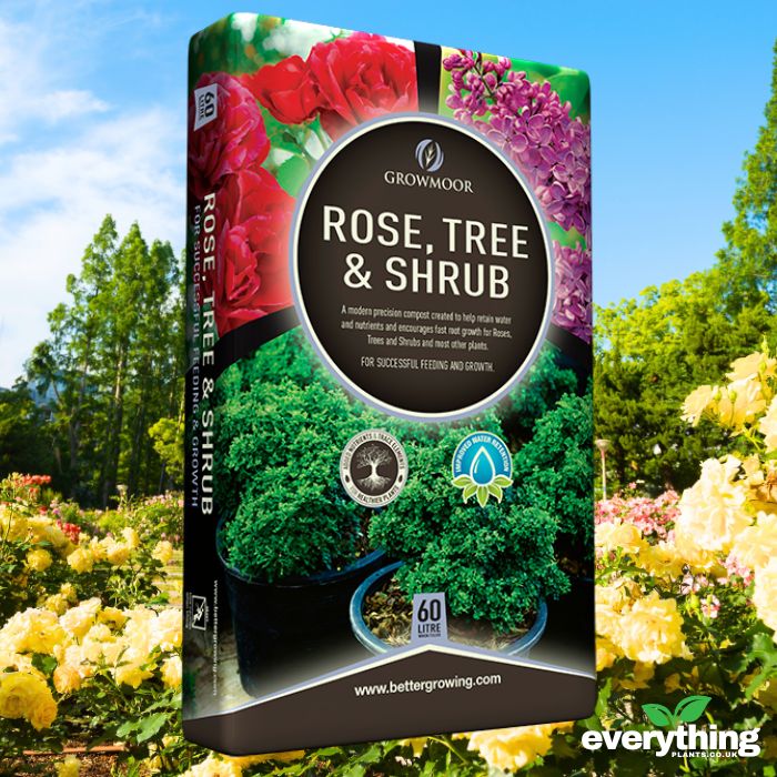 Rose, Tree and Shrub Compost