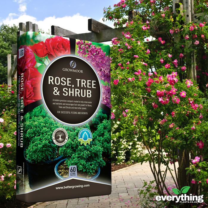Rose, Tree and Shrub Compost