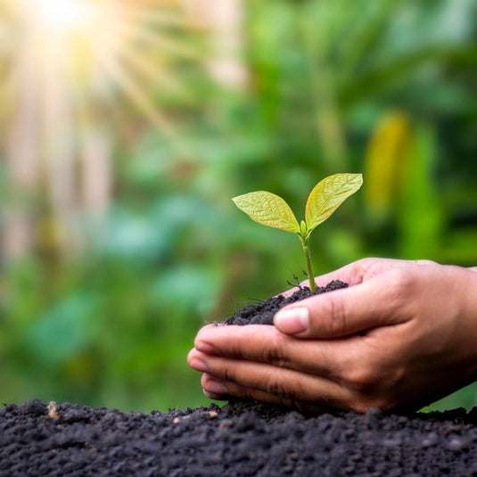 Premium Range of Compost...