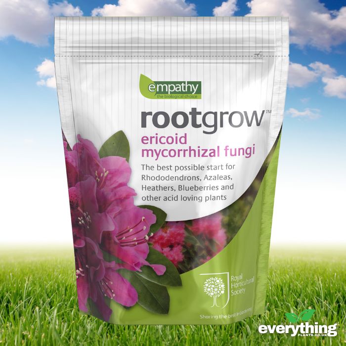 Rootgrow Ericoid (Azaleas, Rhodos & Heathers)