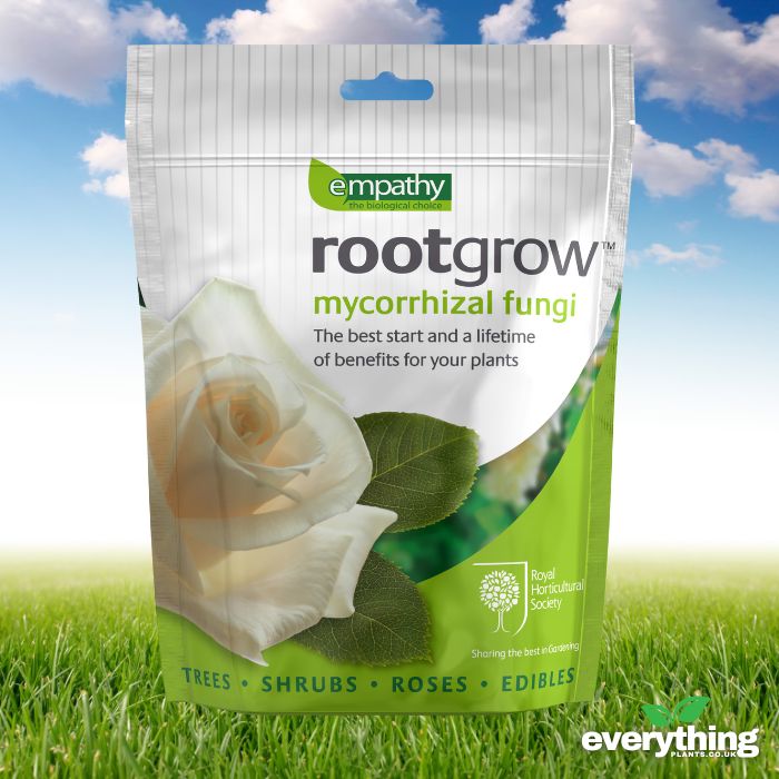 Rootgrow (Mycorrhizal Funghi)