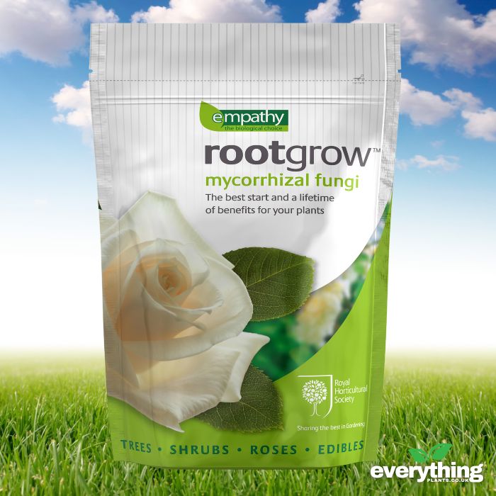 Rootgrow (Mycorrhizal Funghi)