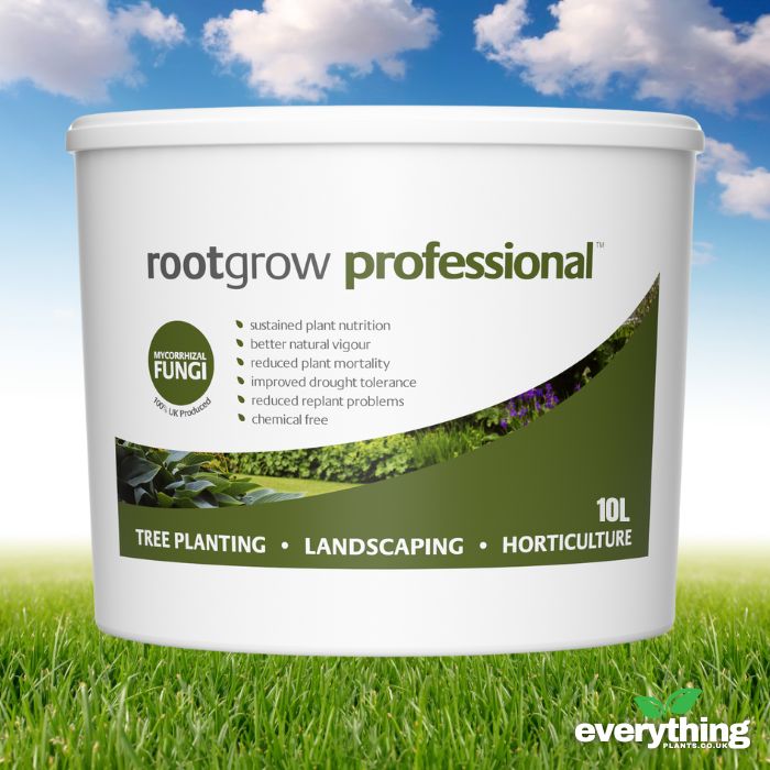 Rootgrow (Mycorrhizal Funghi)