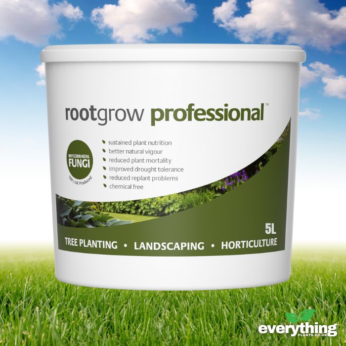 Rootgrow (Mycorrhizal Funghi)