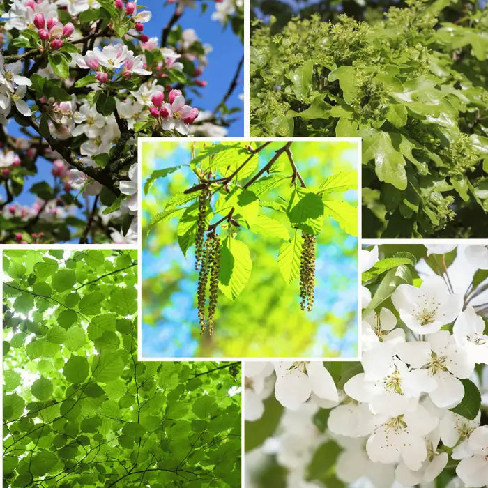 Thorn Free Mixed Native Hedging