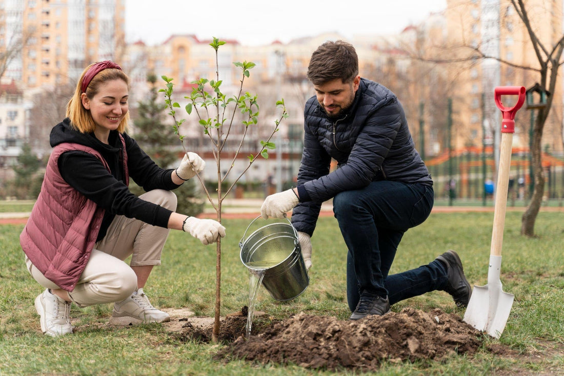 From Tiny Seeds to Towering Giants: How to Choose, Plant, and Nurture Trees for Every Corner of Your UK Garden