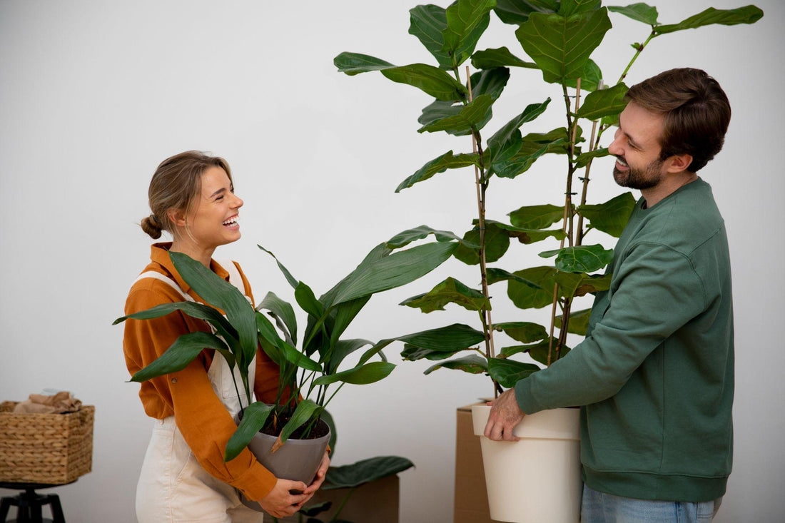 Guide to Choose the Perfect Plant Size for Instant Growth - Everything Plants 
