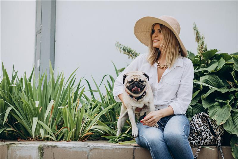 Pet-Friendly Plants for Every Garden - Everything Plants