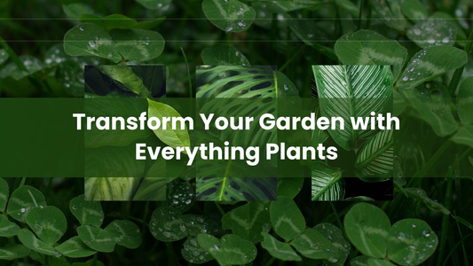 Garden Transforming Guide by Everything Plants