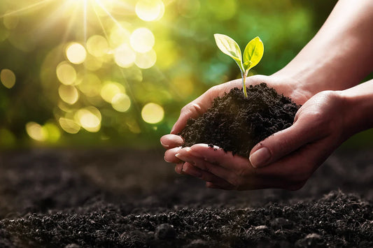 Topsoil & Compost