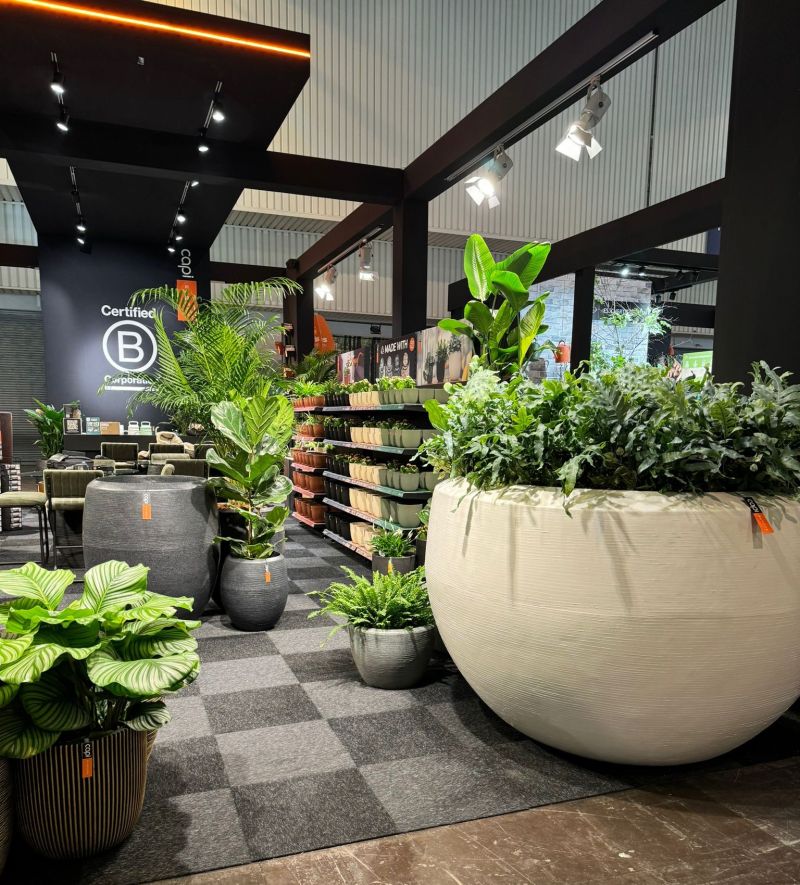 Pots & Planters Collection