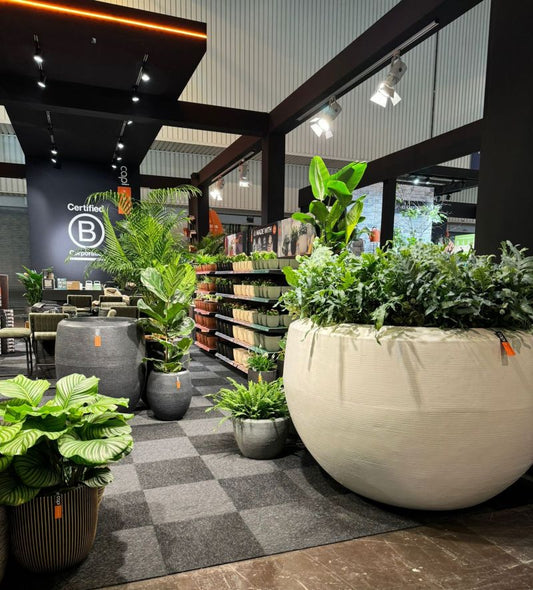 Pots & Planters Collection
