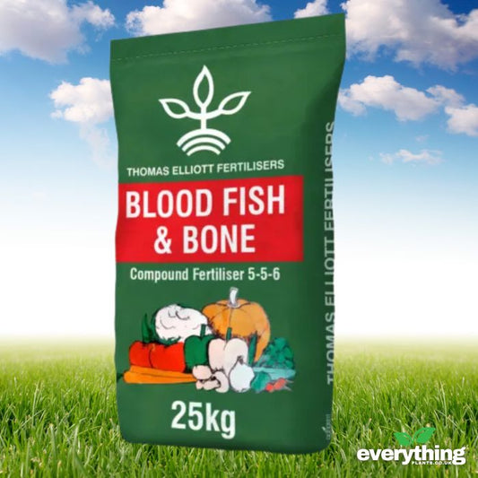 Blood, Fish and Bone