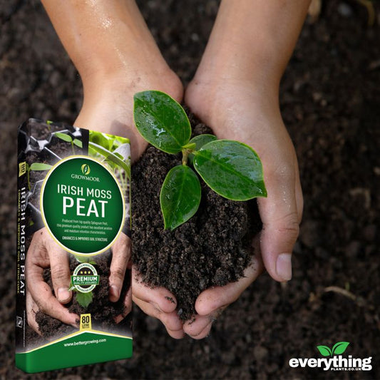 Irish Moss Peat Compost