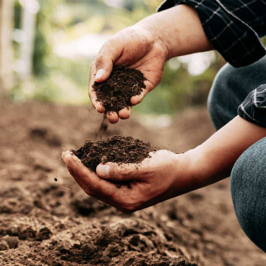 Topsoil
