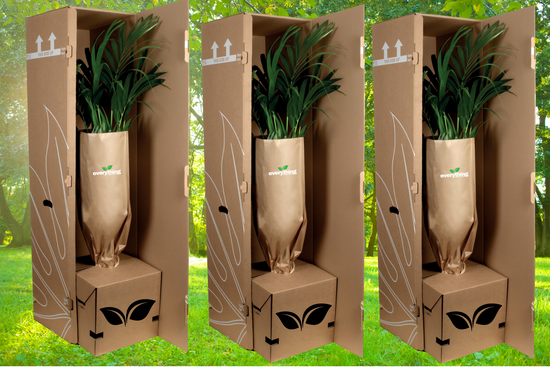 Free Taller Box UK  Delivery...