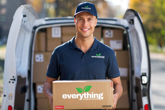 Delivered Safe & Secure...